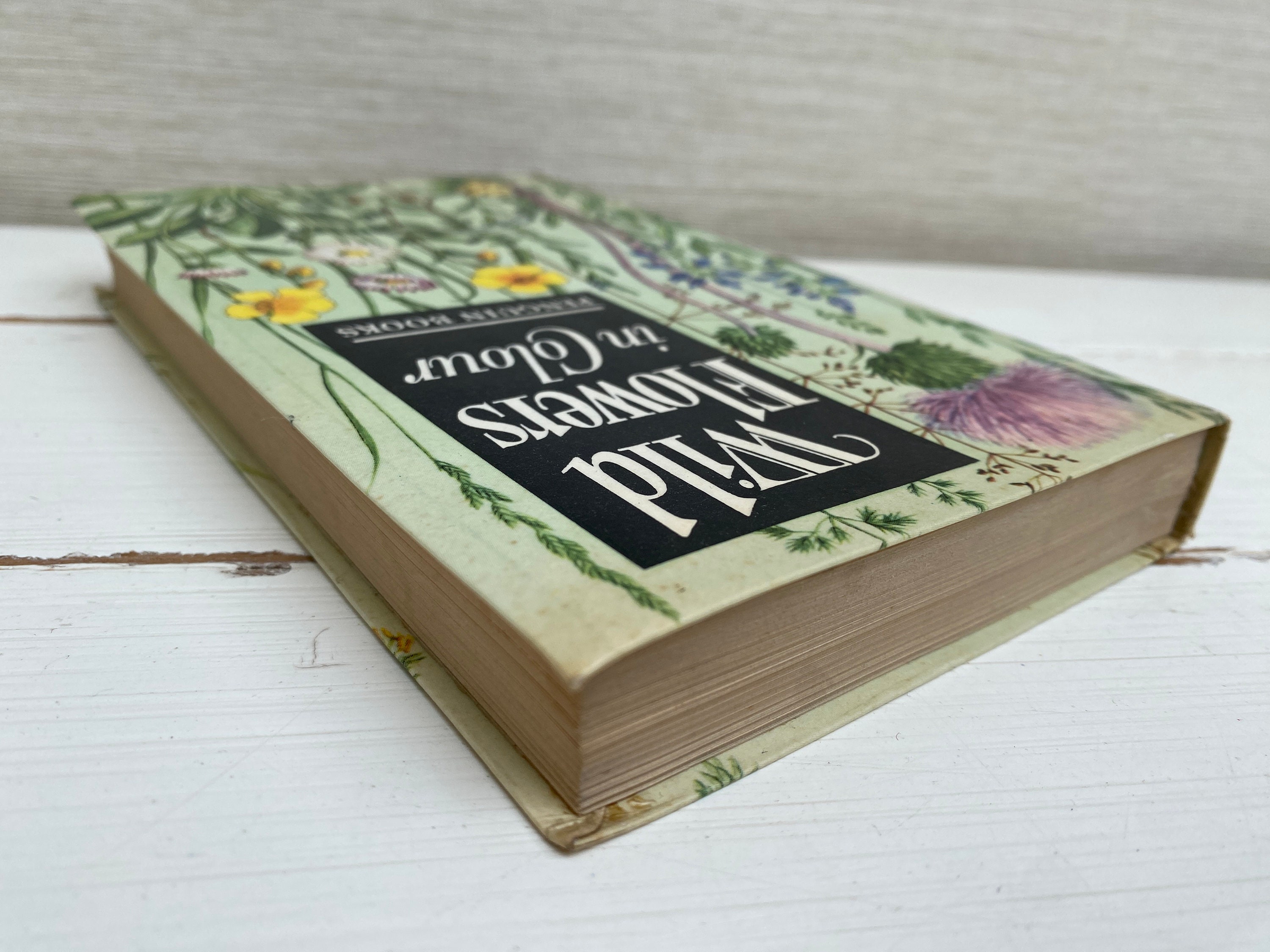 Wild Flowers in Colour J Hutchinson Illustrated by E
