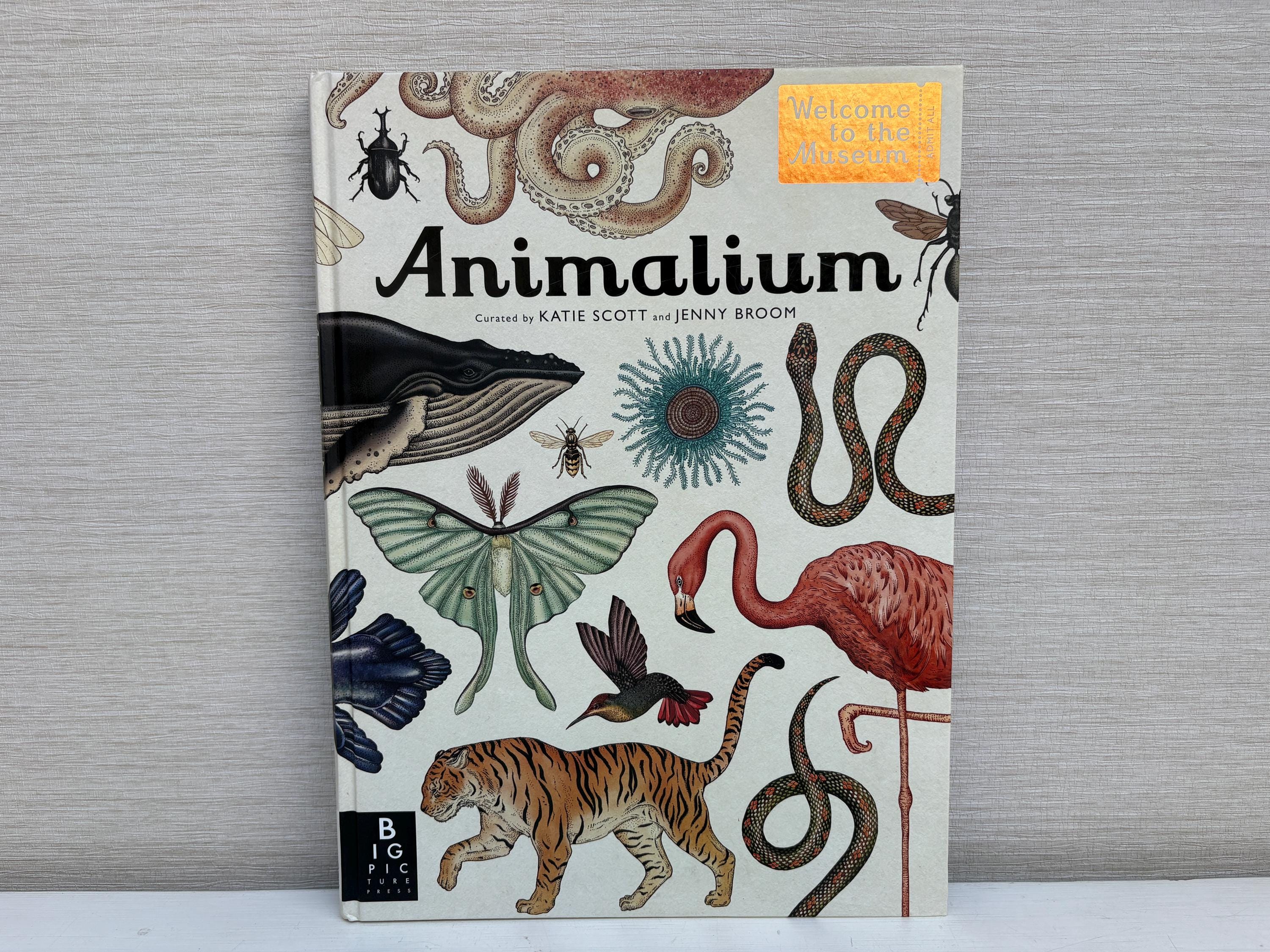 Animalium (welcome to the Museum) Book by Katie Scott and Jenny