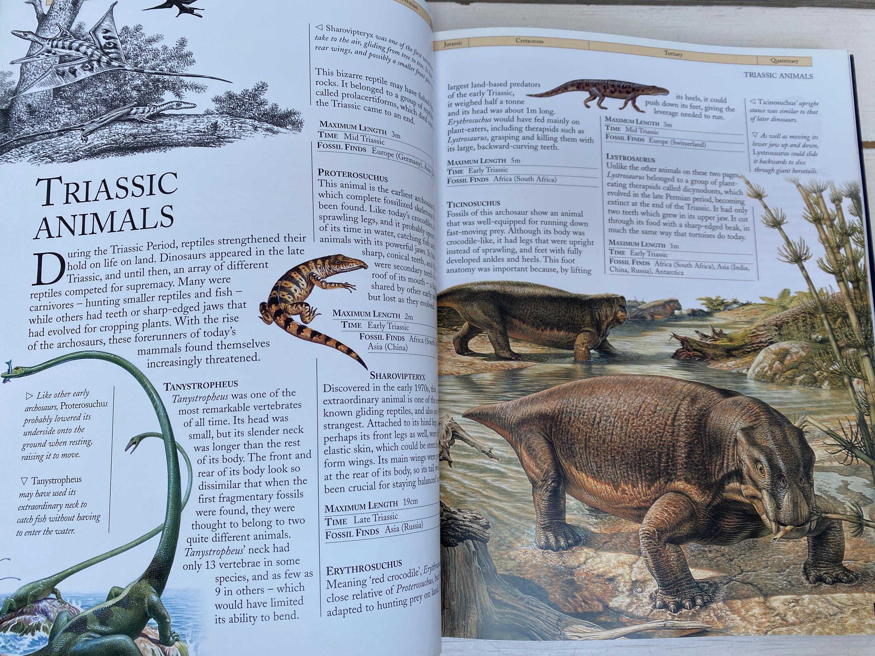 The Kingfisher Illustrated Dinosaur Encyclopedia by David Burnie