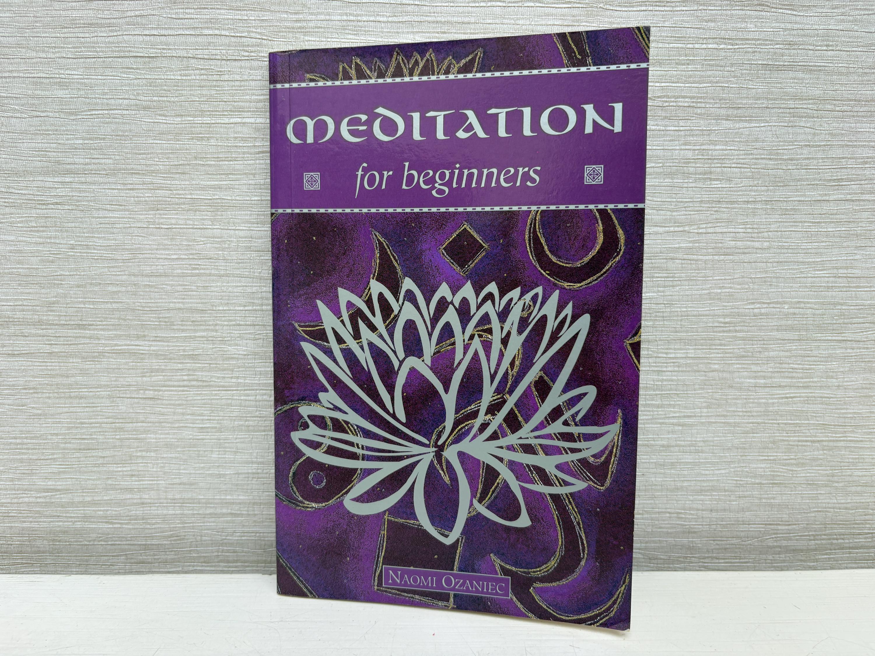 Meditation for Beginners by Naomi Ozaniec Vintage 1995 Paperback