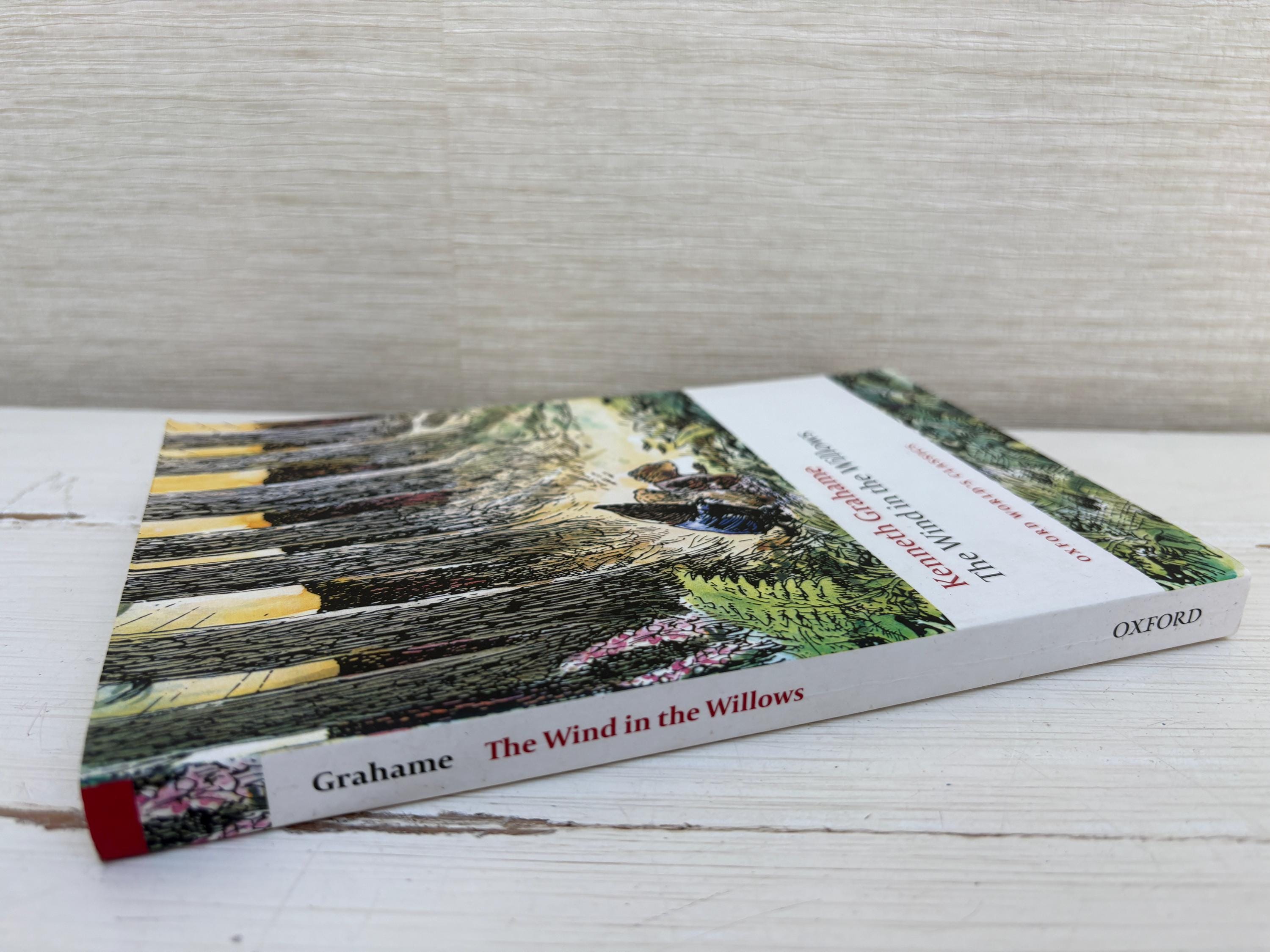 The Wind in the Willows by Kenneth Grahame Paperback Children's Book ...
