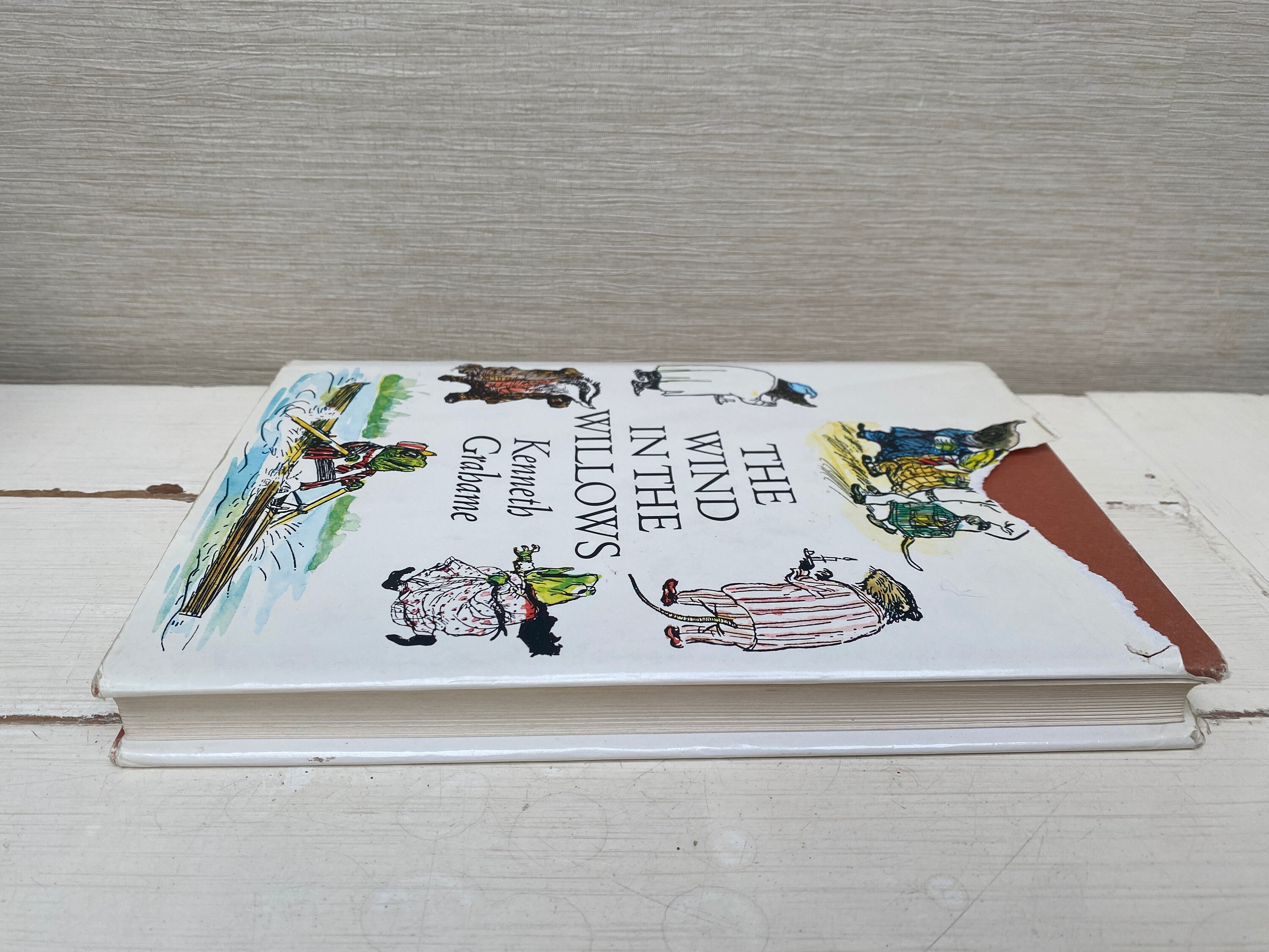 The Wind in the Willows by Kenneth Grahame - 1996 Childrens Hardback ...