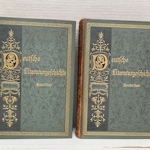 Deutsche Literaturgeschichte Leather Spine Antique Hardback Books by R Koenig in German - Volumes 1 and 2 Sold Individually