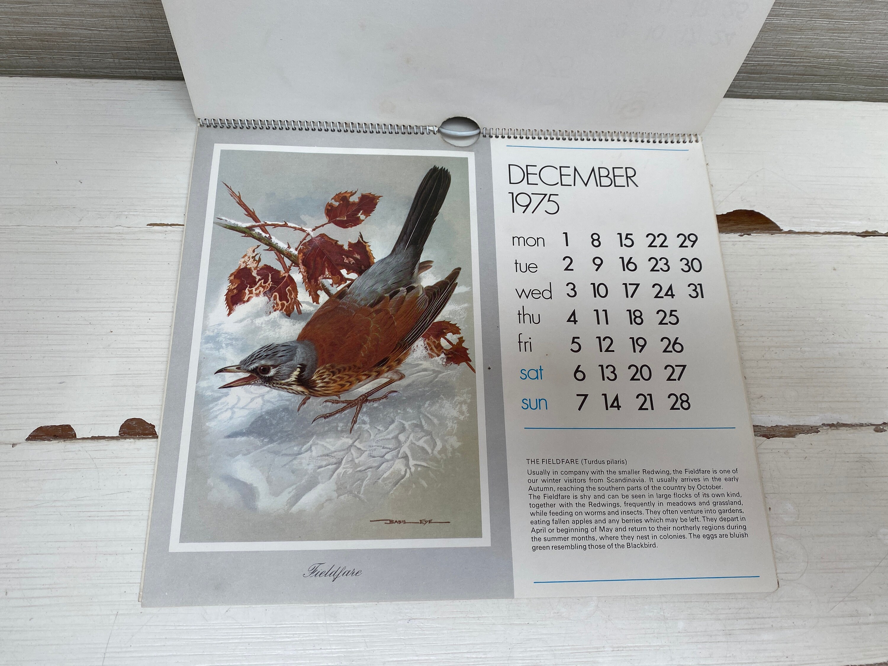 vintage-birds-of-britain-calendar-1975-etsy