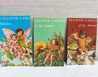 Flower Fairies of the Summer , Spring , Winter , Autumn by Cicely
