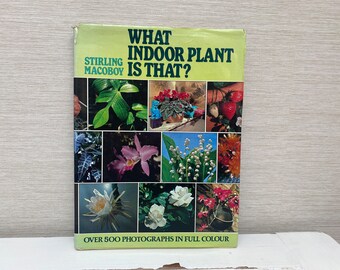 What Indoor Plant is That Hardback Vintage Book 1977 - Stirling Macoboy -  Etsy