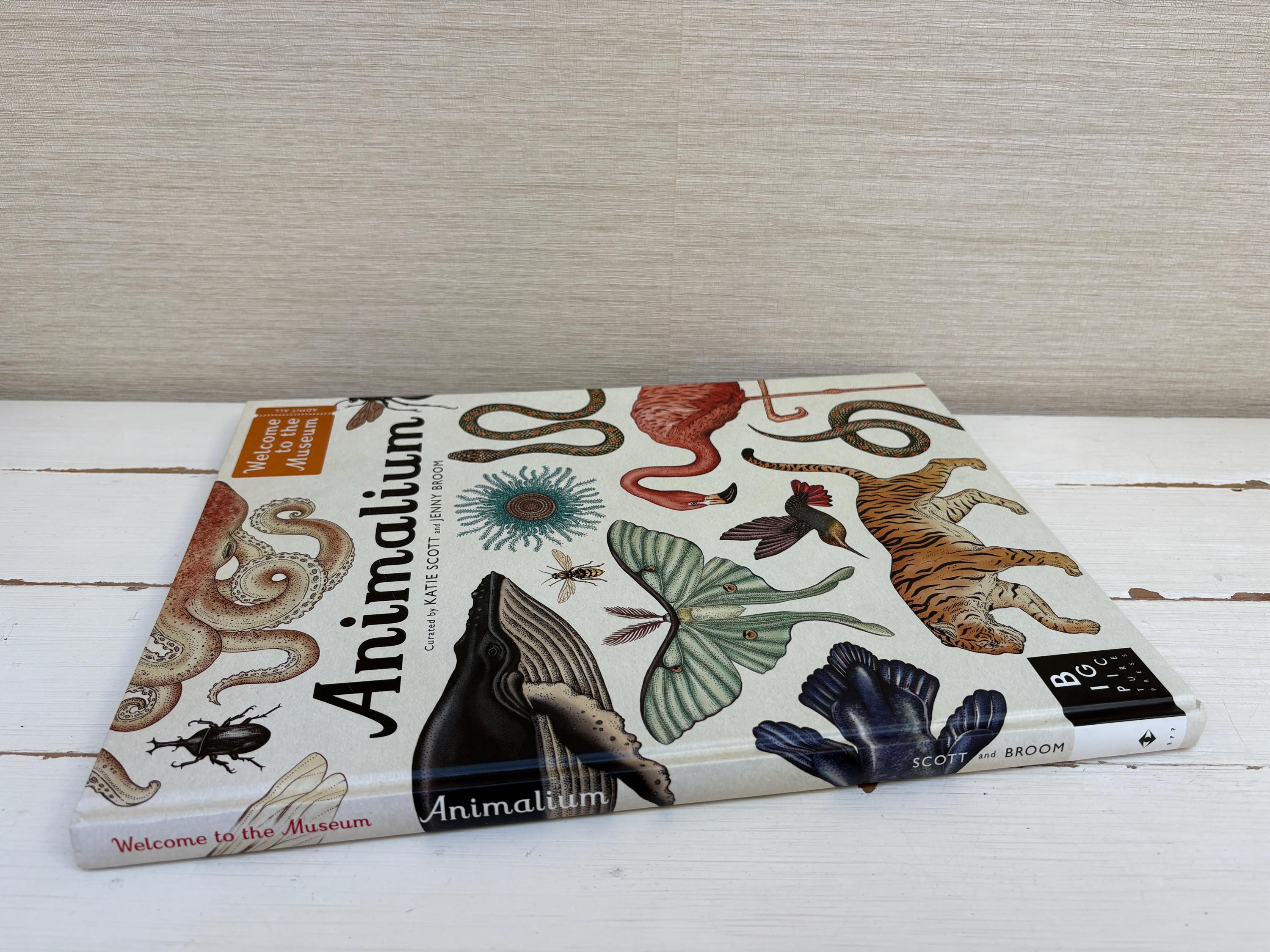 Animalium (welcome to the Museum) Book by Katie Scott and Jenny 