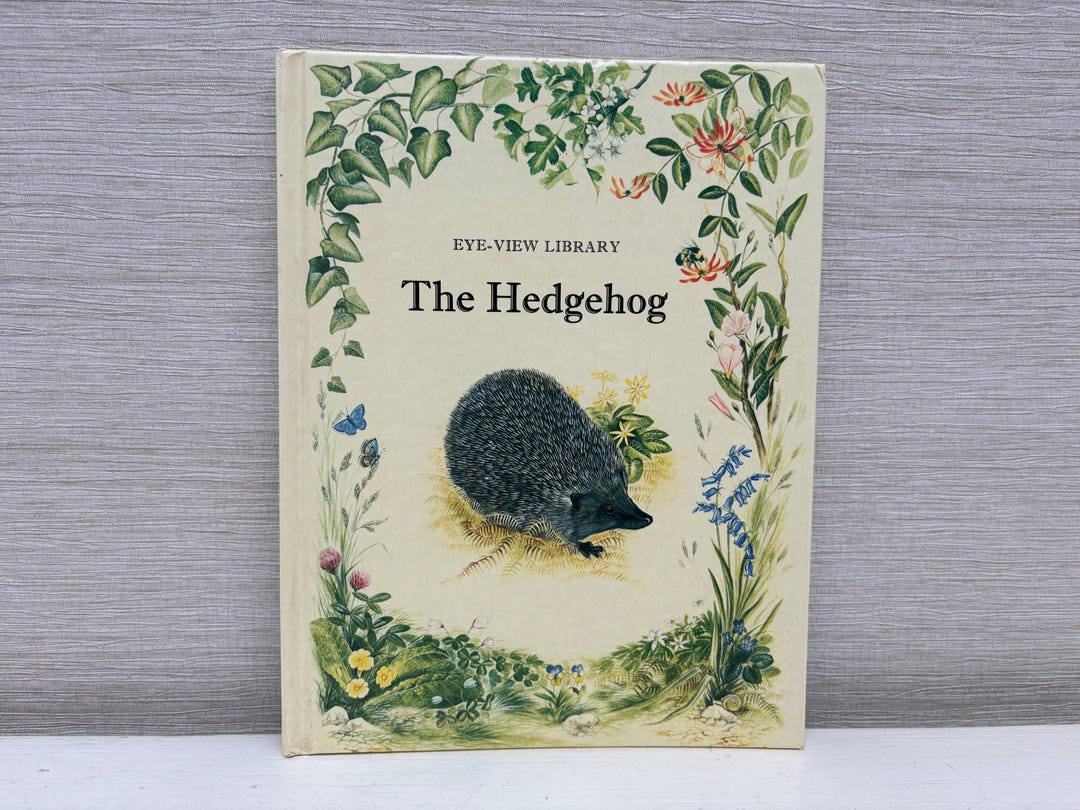 Eye View Library the Hedgehog by Angela Sheehan 1982 Vintage Hardback ...