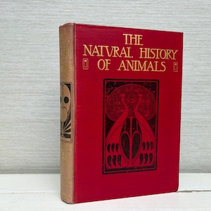 Può includere: Un libro d'epoca intitolato "THE NATURAL HISTORY OF ANIMALS" con scritte dorate su una copertina rossa. Il libro presenta un'illustrazione in stile Art Nouveau di due uccelli stilizzati. Il dorso è beige con elementi decorativi.