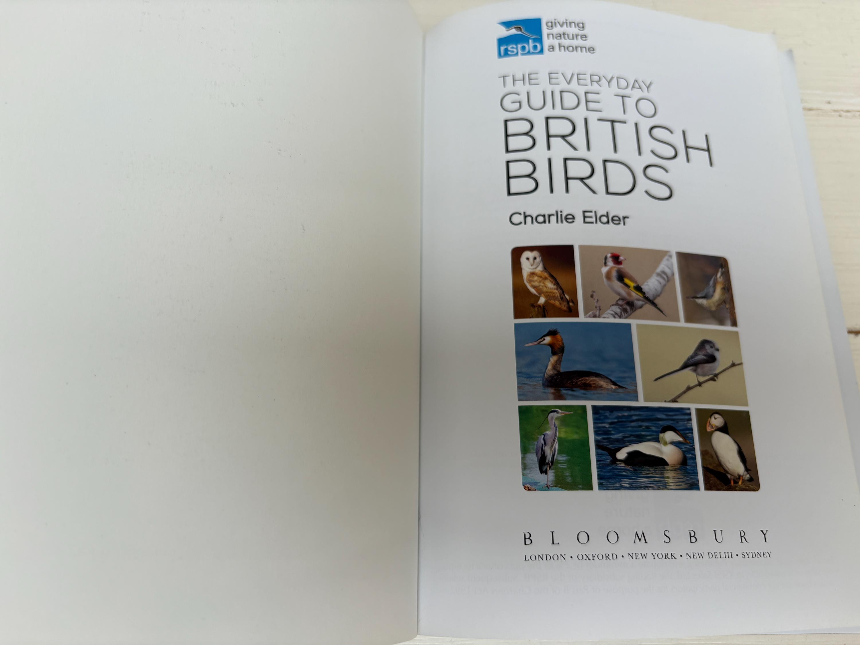 RSPB British Birds Libro Usato The RSPB Everyday Guide To British Birds ...