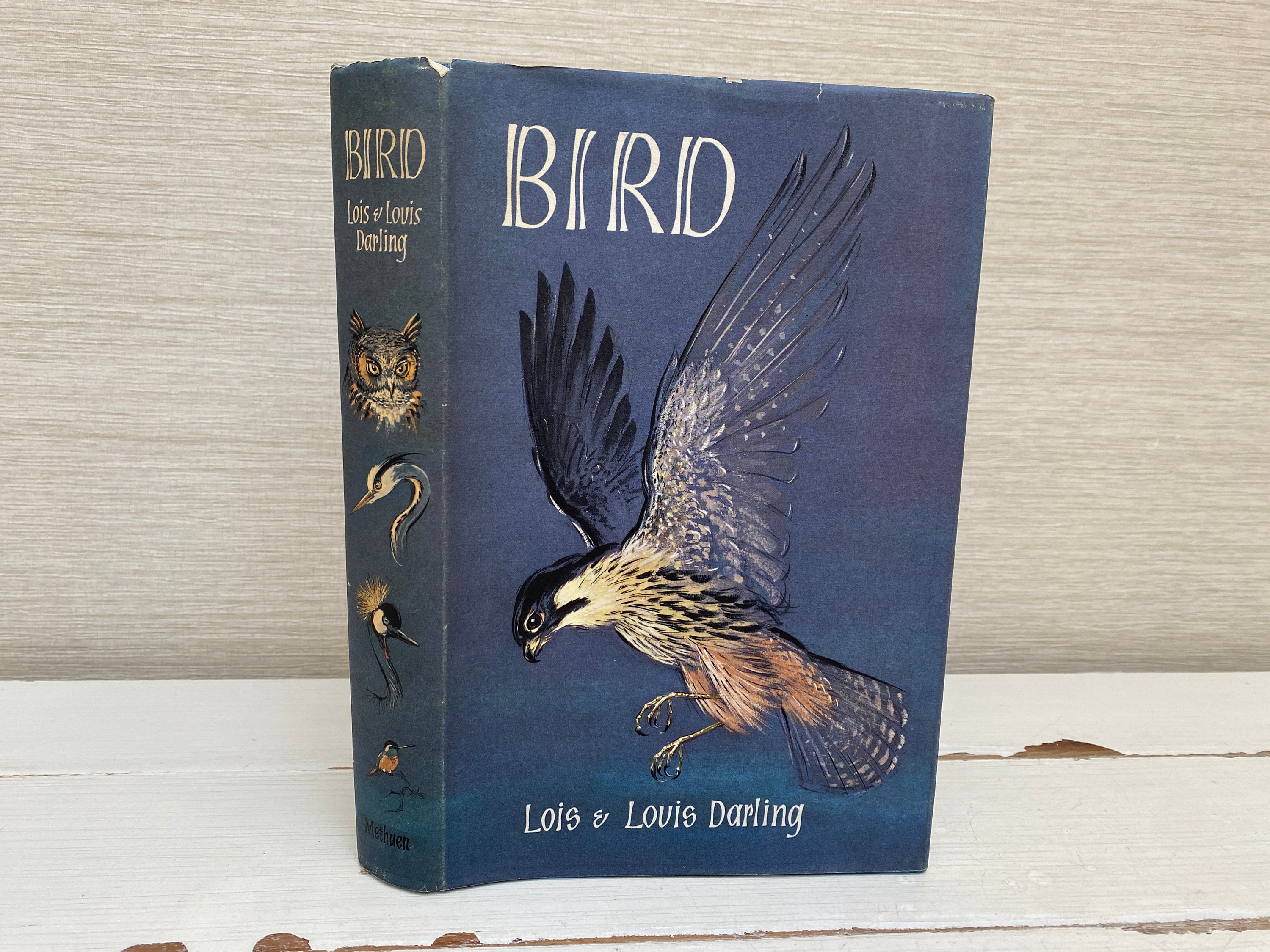 Bird by Lois & Louis Darling 1963 First UK Edition Vintage Hardback Book