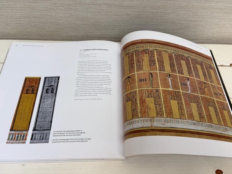 May include: An open book displaying pages with ancient Egyptian art and hieroglyphs. One page features colorful rectangular panels with inscriptions. The opposite page shows a detailed illustration of a wall with figures and more hieroglyphs. The book is open on a white surface.