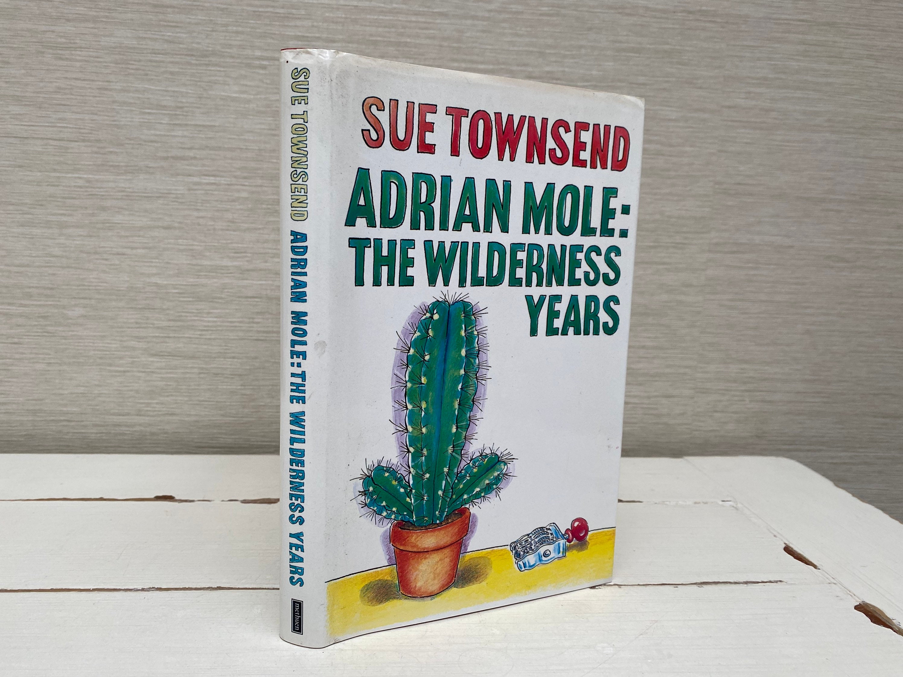 Adrian Mole the Wilderness Years 1993 Hardback Childrens Book - Etsy