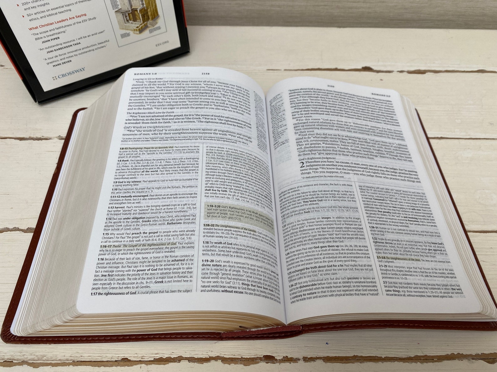 ESV Study Bible Personal Size Trutone Saddle Ornament Design in Box - Etsy