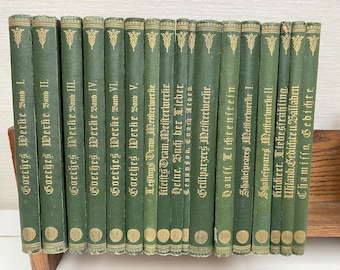 GOETHE WERKE 6冊セット Antique Book Set 5 Volumes Goethes Werke Early 1900s Johann