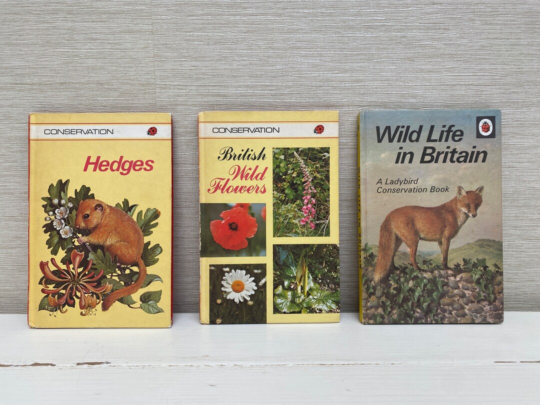 Conservation Ladybird Vintage Hardback Books - Series 727 - Sold ...