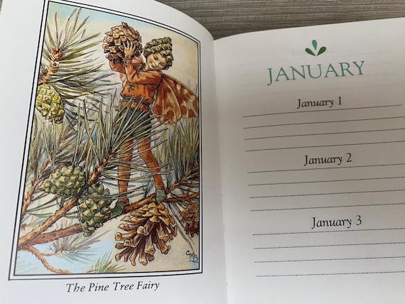 The Flower Fairies Birthday Book by Cicely Mary Barker Hardback