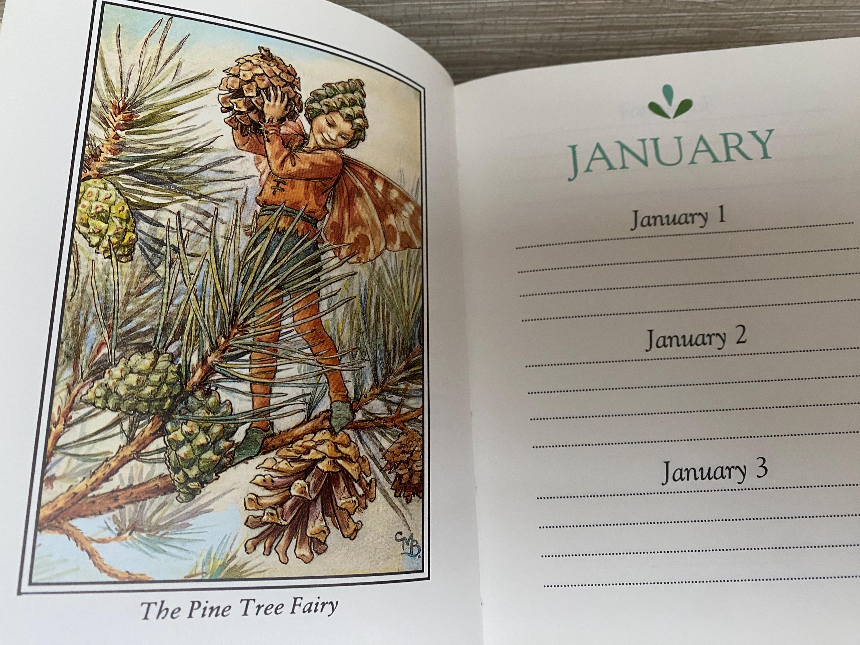 The Flower Fairies Birthday Book by Cicely Mary Barker Hardback