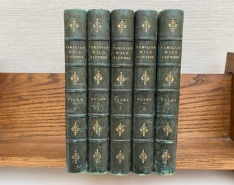 Familiar Wild Flowers By F. Edward Hulme Antique Hardback Books c1870s Illustrated Colour Plates - Volumes 1 to 5 - Sold Individually