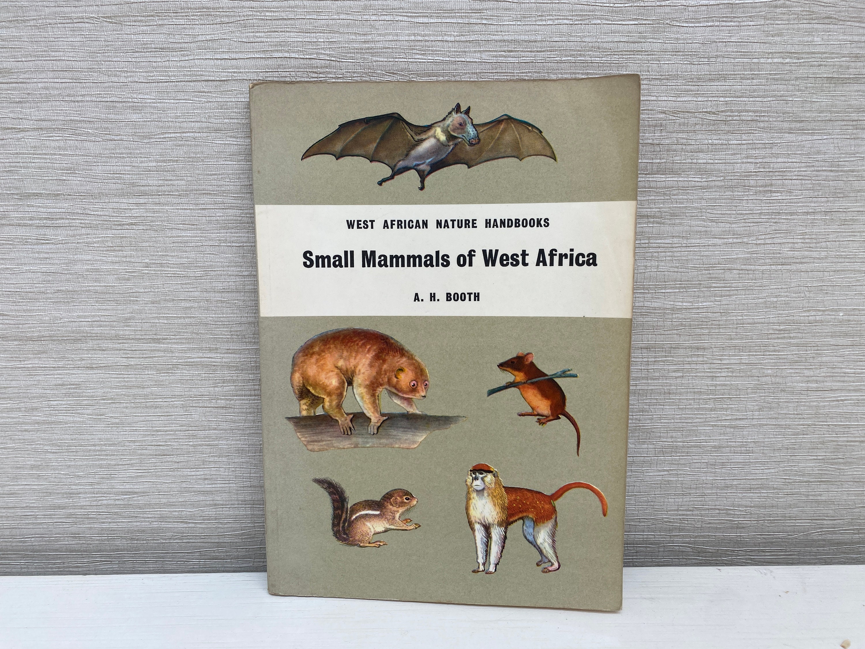 Small Mammals of West Africa by A H Booth - West African Nature