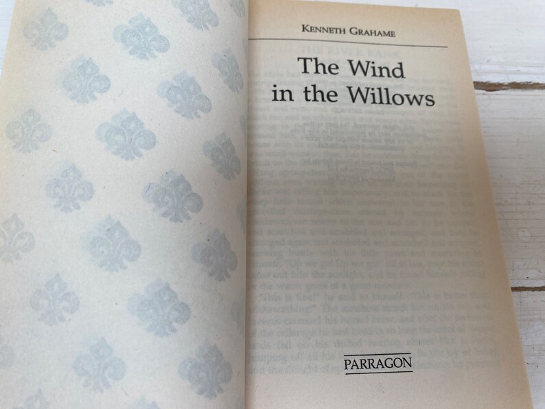 The Wind in the Willows by Kenneth Grahame Paperback Children's Book ...