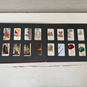 Colección de 200 tarjetas de cigarrillos antiguos en álbum - Década de 1930 - Perros, animales, mariposas y otros