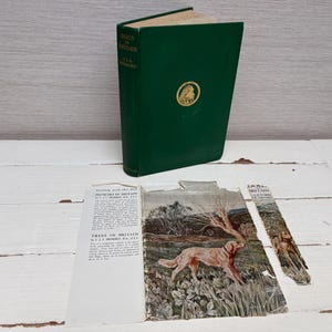 May include: A green hardback book titled "Dogs in Britain" by C.A.B. Hubbard. The book is open to a page with a colour illustration of a brown and white dog in a field of green grass. The text on the page reads "Flowers in Britain" and "Trees in Britain".