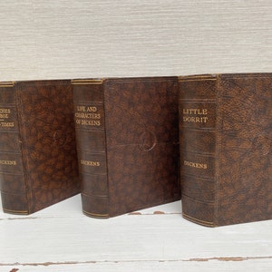 May include: A collection of vintage books with brown leather covers. The titles "Sketches by Boz", "Hard Times", "Life and Characters of Dickens", and "Little Dorrit" are visible in gold lettering. The author's name, Dickens, is also displayed.