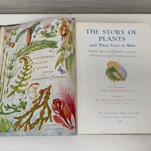 The Story of Plants By J Hutchinson & R Melville 1948 Vintage Hardback Book Colour Illustrated Flora Kendrick