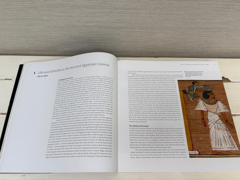 May include: An open book with the title "Life and Afterlife in the Ancient Egyptian Cosmos" is displayed. The right page features an illustration of an Egyptian figure in a white robe, with hieroglyphs and text.