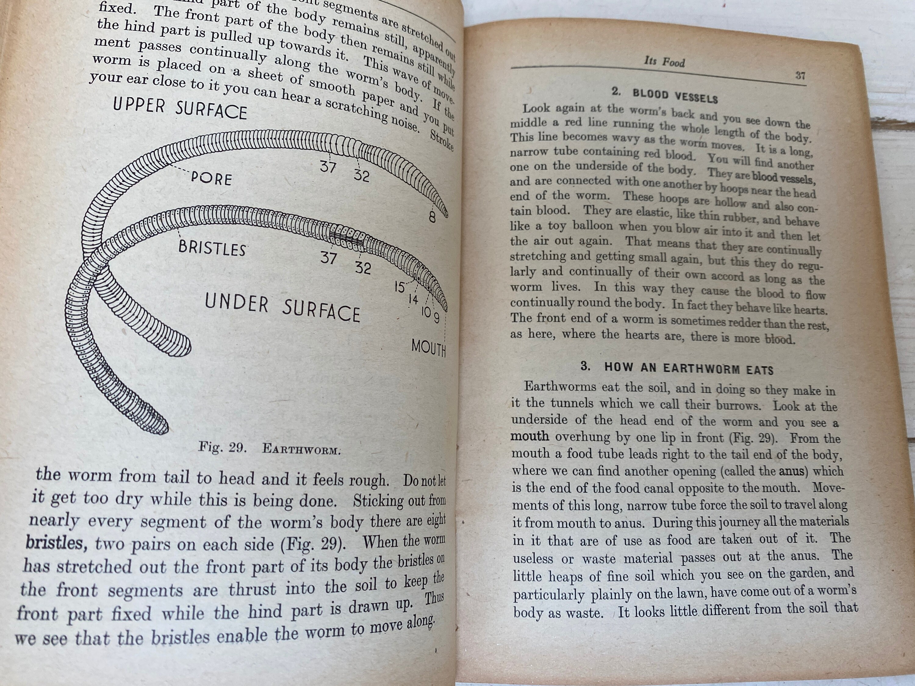 Elementary Science Series Biology by E & A Spratt 1953 Paperback