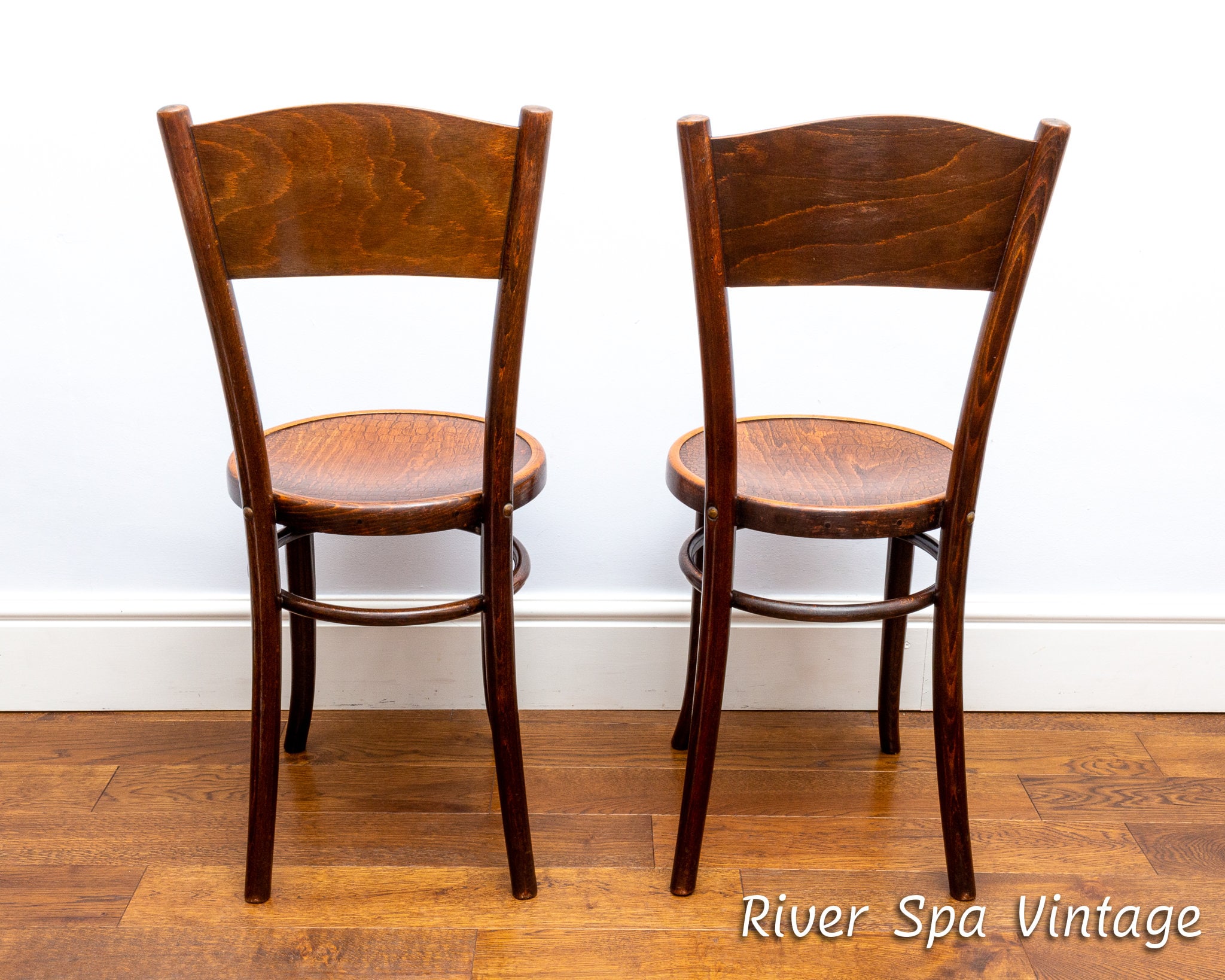 Pair of Antique Mundus Crocodile Bentwood Bistro Chairs, Art
