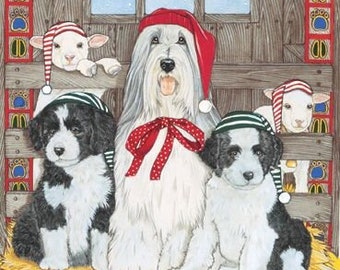 Bearded Collie Christmas Cards, Holiday Pet Art (Set of 10)