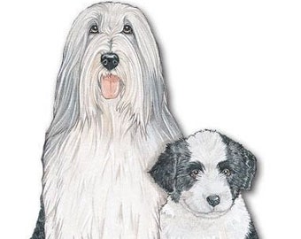 Bearded Collie Magnet Wooden