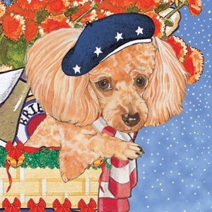 Poodle Toy Apricot Poodle Christmas Cards Set Of 10 Cards & 10 Envelopes