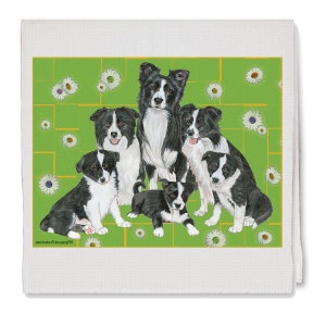 Border Collie Decorative Cotton Kitchen Dish Towel, Pet Gift (DT560)