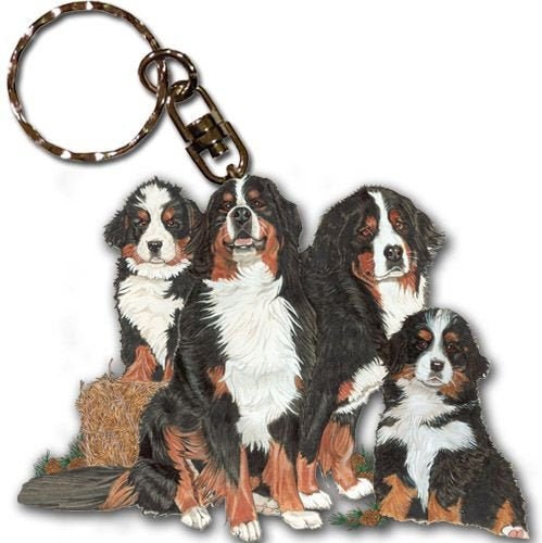 Bernese Mountain Dog keychain, stainless steel gemstone key chain, dog bag  charm, bernese mountain dog jewelry, jewellery, Christmas, gift