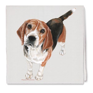 May include: A brown, black, and white Beagle dog with brown eyes looking up at the camera. The dog is standing on a light gray background.