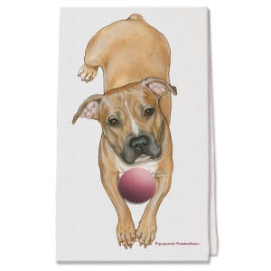 May include: A brown and white American Staffordshire Terrier dog with a pink ball in its mouth. The dog is sitting on a white background with the text "Pip squeak Productions" at the bottom.