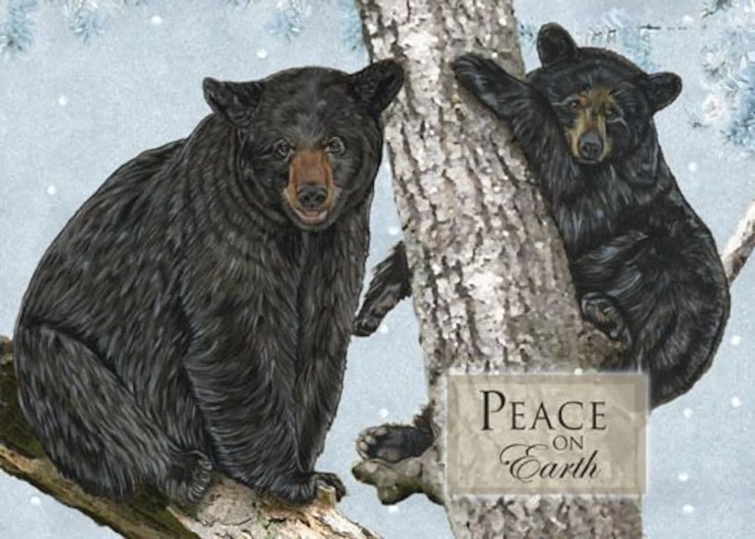 Black Bear Christmas Cards Set of 10 Cards & 10 Envelopes - Etsy