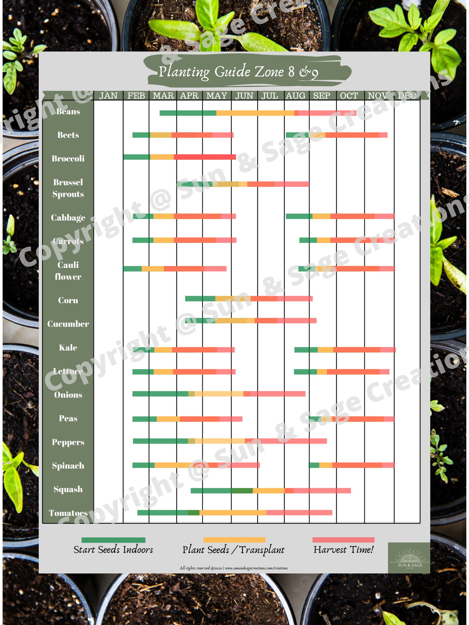 planting guide zone 8 9 printabledownloadable etsy