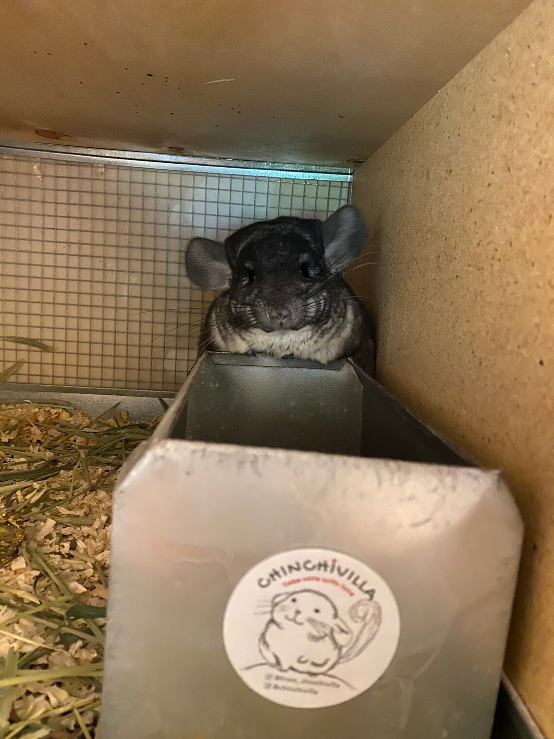 Metal Chinchilla Dust Bath Container W/ Optional Combo Etsy