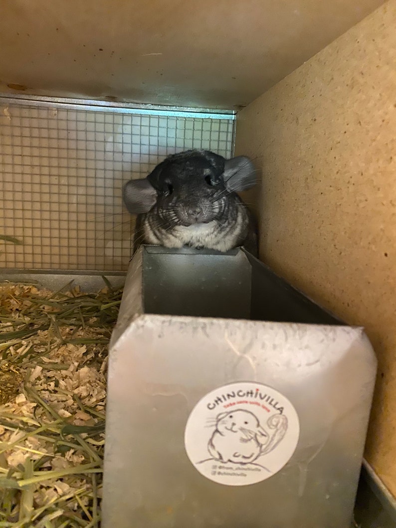 Metal Chinchilla Dust Bath Container W/ Optional Combo Etsy