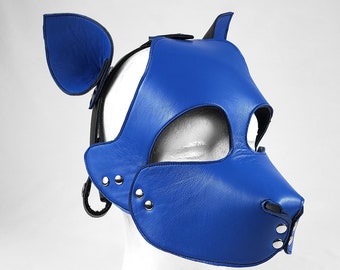Blue Pup Play Hood