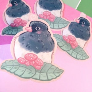 May include: A collection of stickers featuring a cartoon bird with a black head and back, white chest, and pink beak. The bird is perched on a green leaf with pink mushrooms. The stickers are on a pink background.