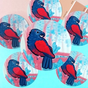 Pesquet&#39;s/Dracula Vulturine Parrot Bird Waterproof Sticker/Ornithology Decals