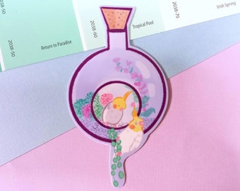 Cockatiel Terrarium Waterproof Vinyl Sticker