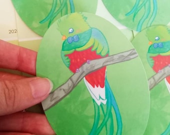 Shy Quetzal Parrot Waterproof Vinyl Sticker/Bird Decals/Animal Stickers for Water bottle,Notebook, Laptop,Journal