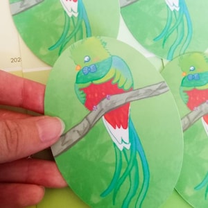 Shy Quetzal Parrot Waterproof Vinyl Sticker/Bird Decals/Animal Stickers for Water bottle,Notebook, Laptop,Journal