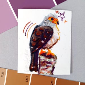 White Rumped Falcon originele vogel mini 2,75 x 3" illustratie/mixed media ingelijste kunst/aquarel en wax pastel tekening/vogelcadeau
